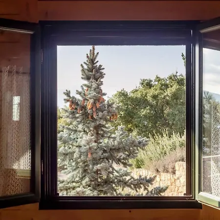 Regina Paradisi (Corinthia)