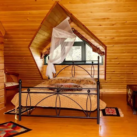 Regina Paradisi (Corinthia)